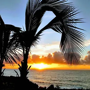 Paradise Palms Apartment Pahoa